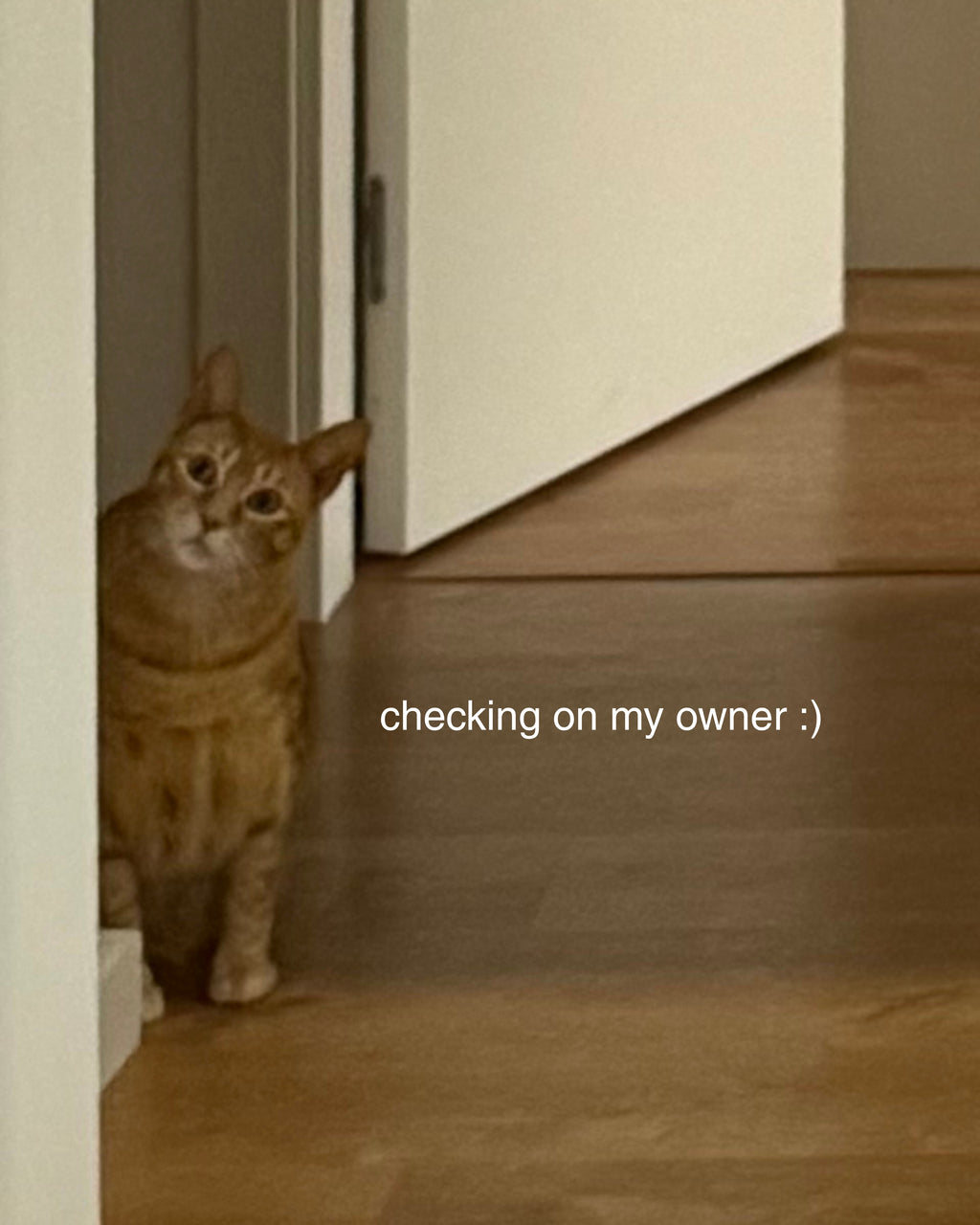 CHECK THE OTHER ROOM SWEATSHIRT RAW